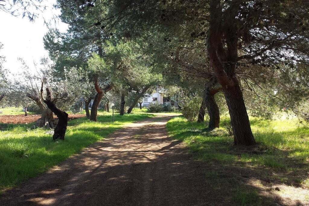 Masseria Dell'800 Castellana Grotte Exterior photo