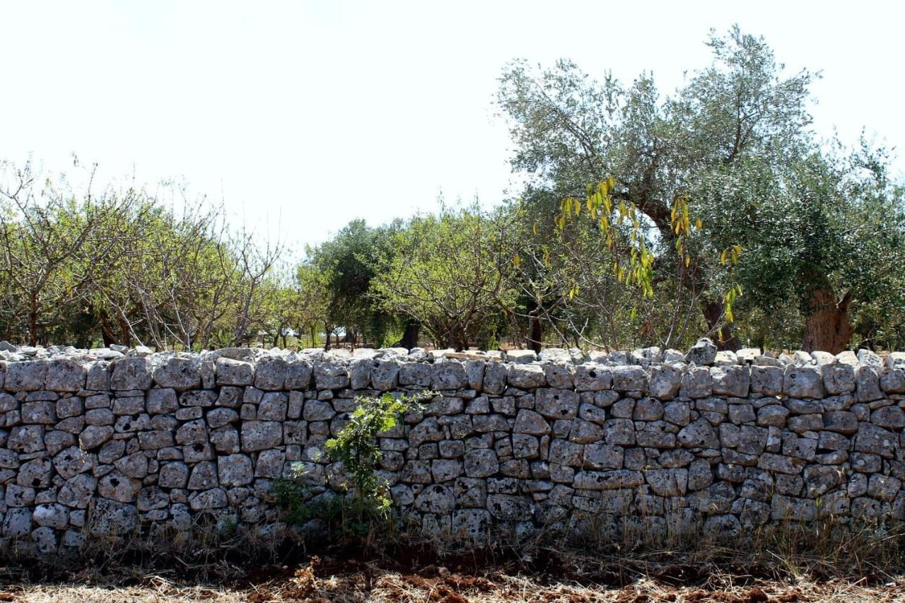 Masseria Dell'800 Castellana Grotte Exterior photo